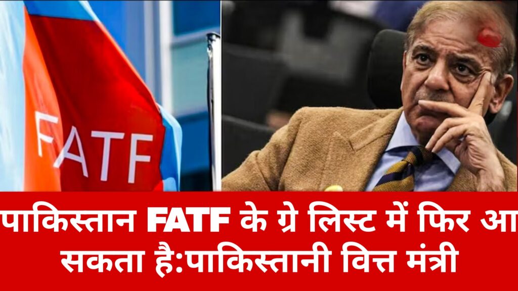 पाकिस्तान FATF के ग्रे लिस्ट में फिर आ सकता है:पाकिस्तानी वित्त मंत्री
