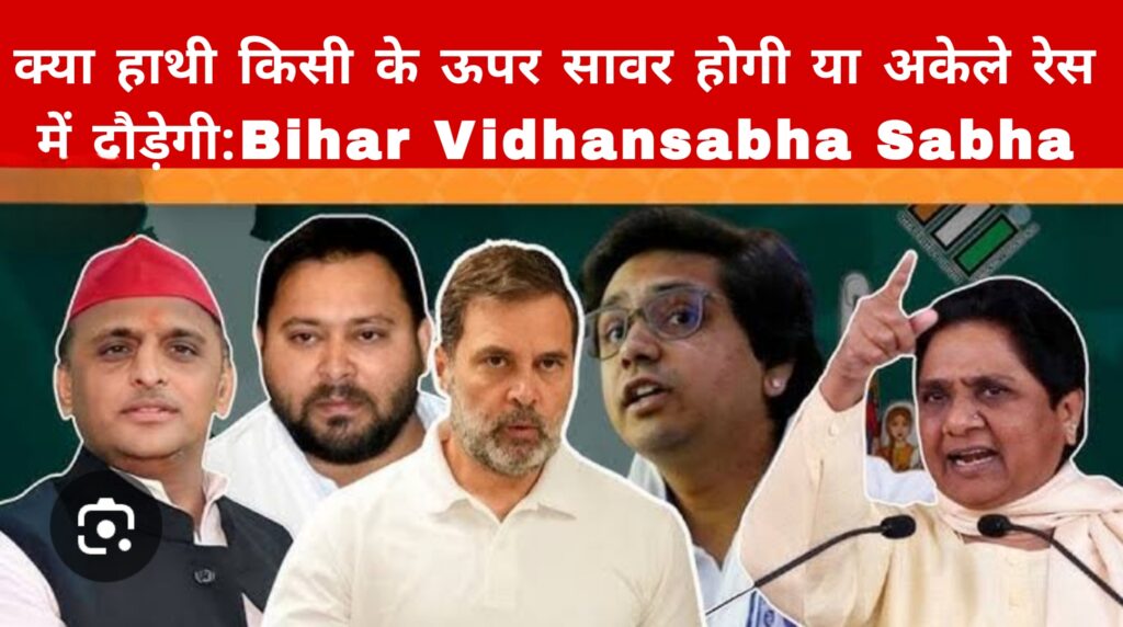 क्या हाथी किसी के ऊपर सावर होगी या अकेले रेस में दौड़ेगी:Bihar Vidhansabha Sabha