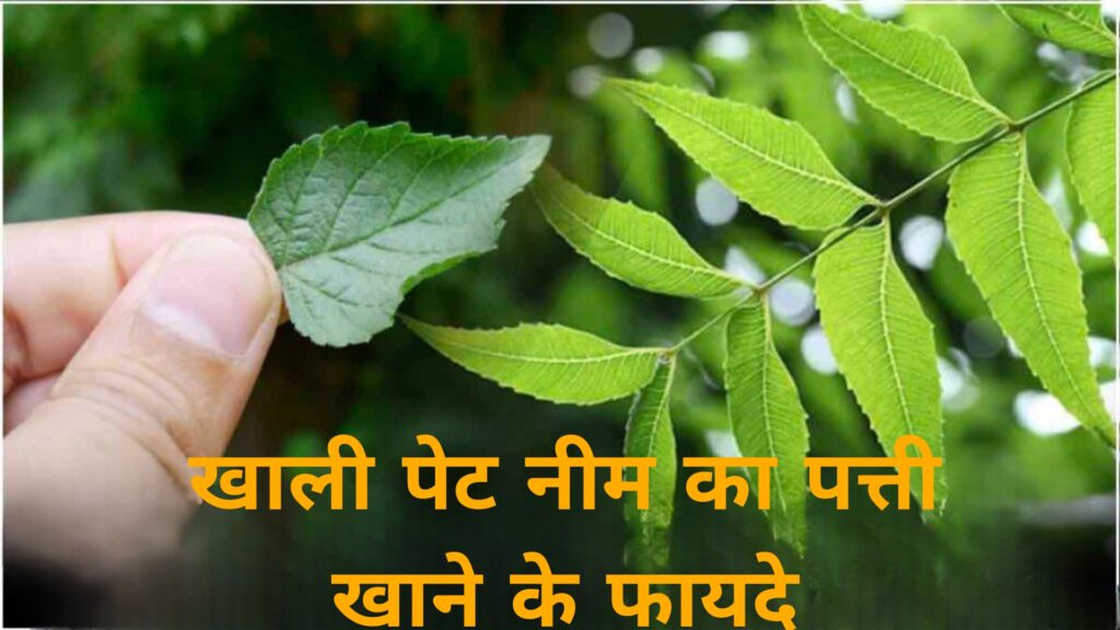 खाली पेट नीम का पत्ती खाने के फायदे