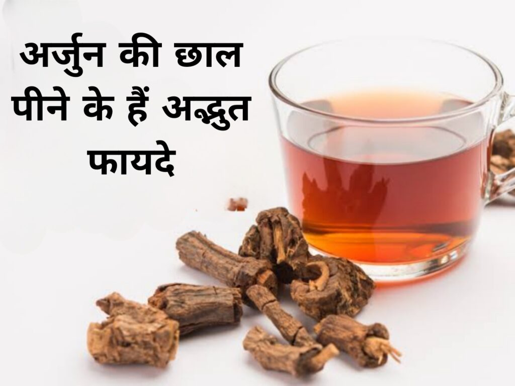 अर्जुन की छाल पीने के हैं अद्भुत फायदे