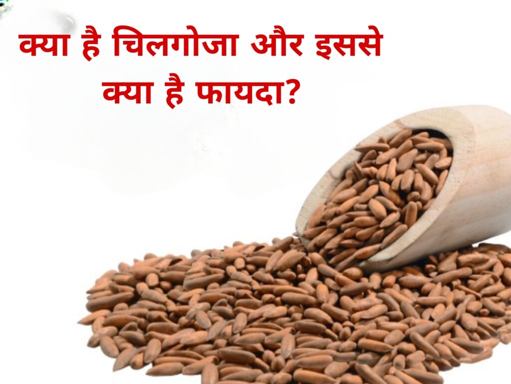 क्या है चिलगोजा और इससे क्या है फायदा