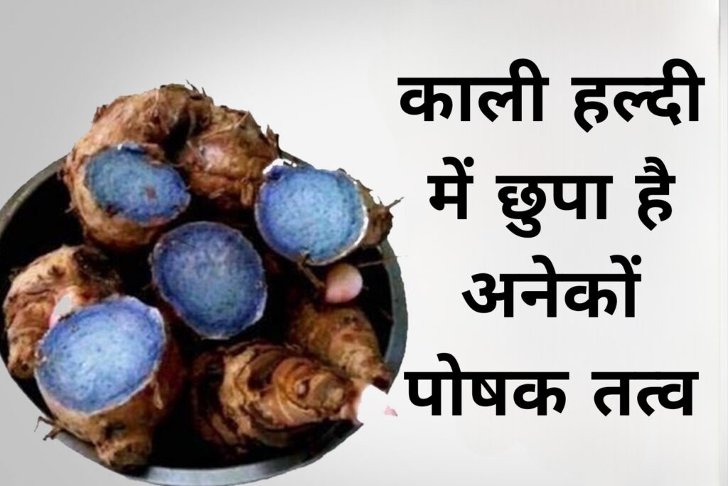 काली हल्दी में छुपा है अनेकों पोषक तत्व