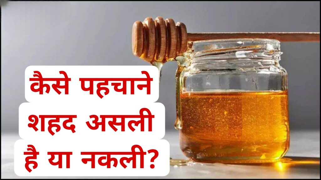 कैसे पहचाने शहद असली है या नकली