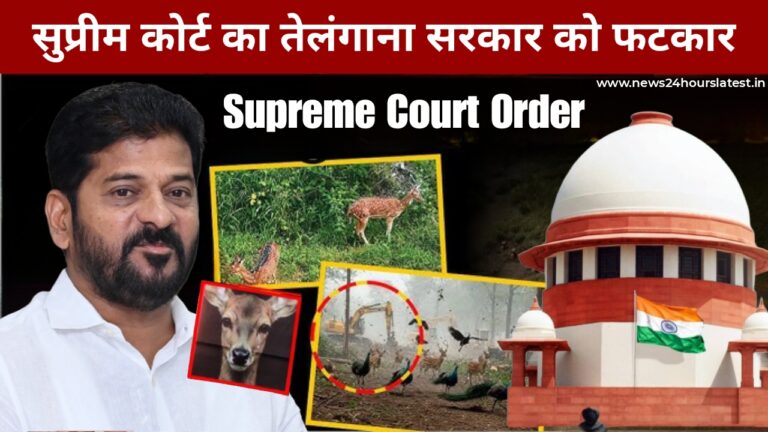 बेजुबान जानवरों का क्या कसूर 