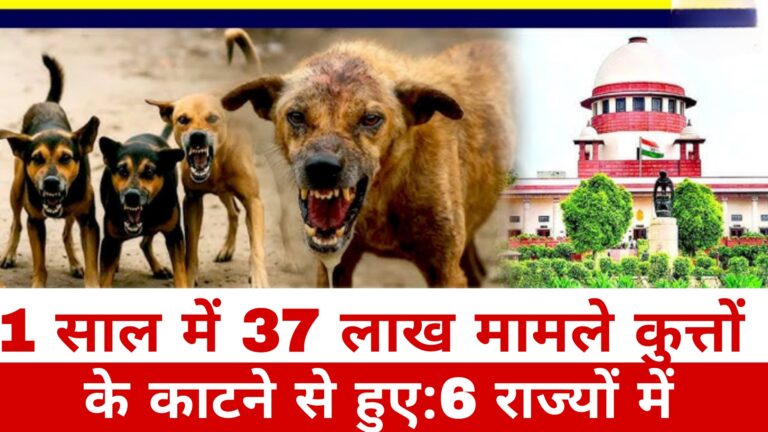1 साल में 37 लाख मामले कुत्तों के काटने से हुए:6 राज्यों में