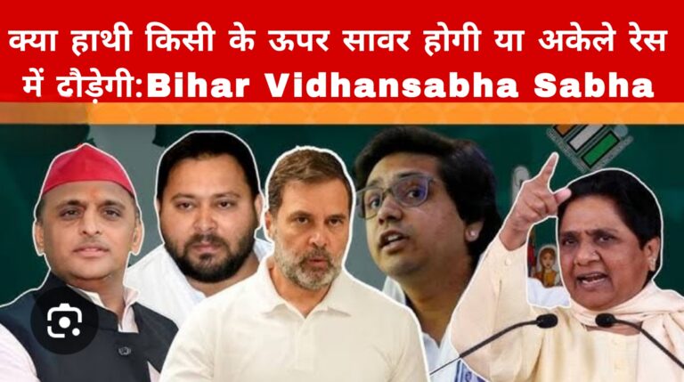 क्या हाथी किसी के ऊपर सावर होगी या अकेले रेस में दौड़ेगी:Bihar Vidhansabha Sabha