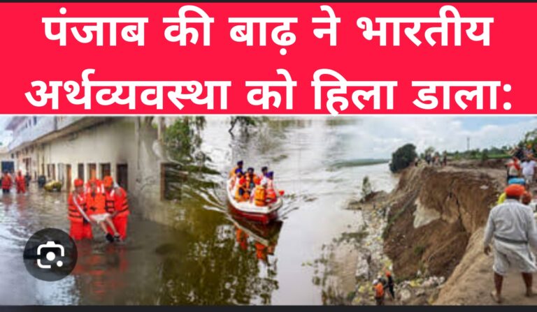 पंजाब की बाढ़ ने भारतीय अर्थव्यवस्था को हिला डाला