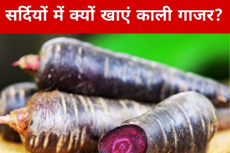 सर्दियों में क्यों खाएं काली गाजर