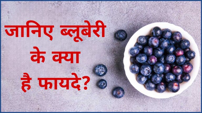 जानिए ब्लूबेरी के क्या है फायदे