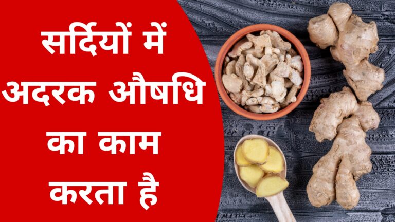 सर्दियों में अदरक औषधि का काम करता है