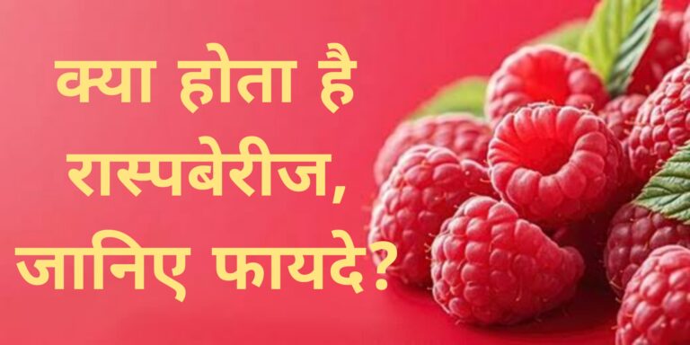 क्या होता है रास्पबेरीज,जानिए फायदे