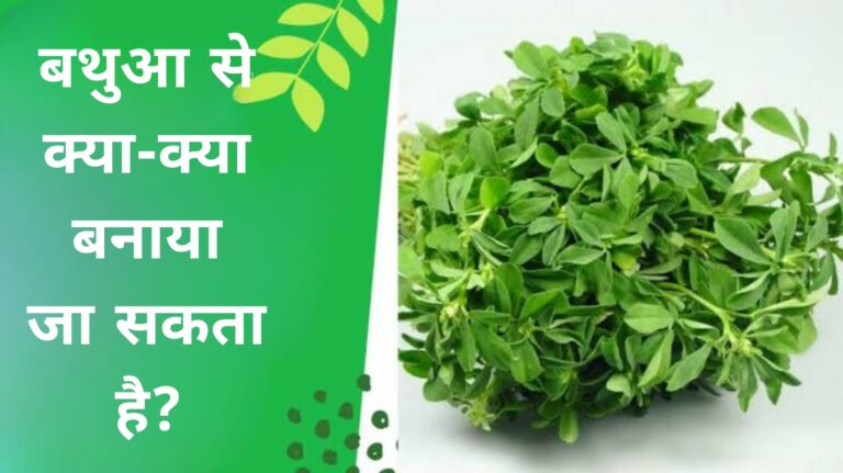 बथुआ से क्या-क्या बनाया जा सकता है