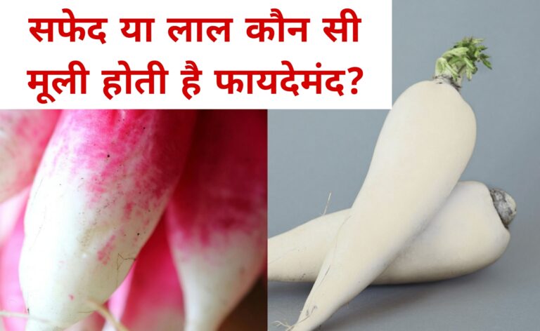 सफेद या लाल कौन सी मूली होती है फायदेमंद