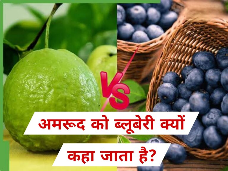 Picsart_26-01-30_23-58-26-689