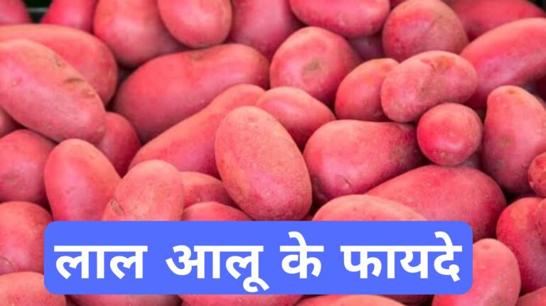 Picsart_26-01-30_23-59-31-849