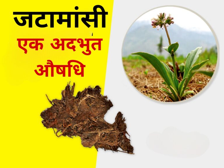 Picsart_26-01-31_22-52-26-629