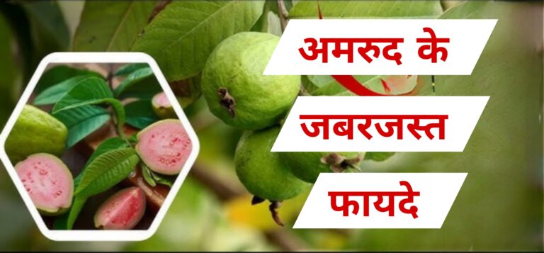 Picsart_26-02-01_23-08-07-809